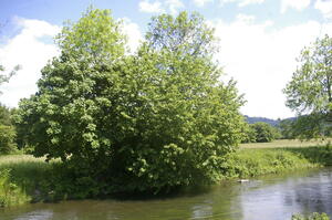 natur4