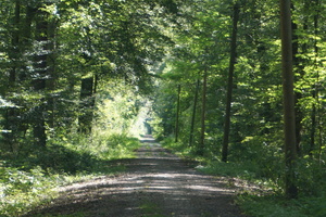 DSC04414