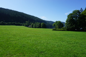 DSC04662