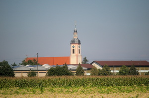 IMGP2150