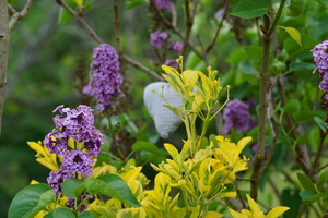 DSC08402